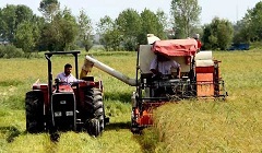 قانون خرید تضمینی محصولات کشاورزی هم اجرایی نشد